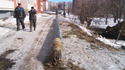 ГНБ прокол, Саранск, новостройка, ПНД труба